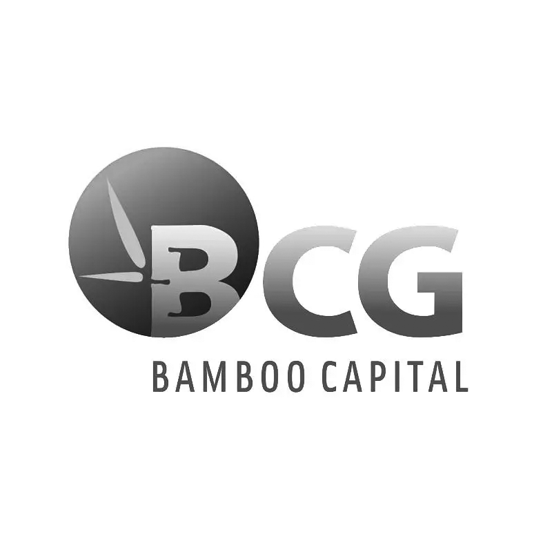 Trang chủ 13 logo bamboo capital