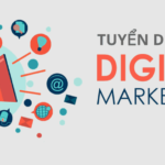 Tuyển dụng chuyên viên Digital Marketing (FRESHER)